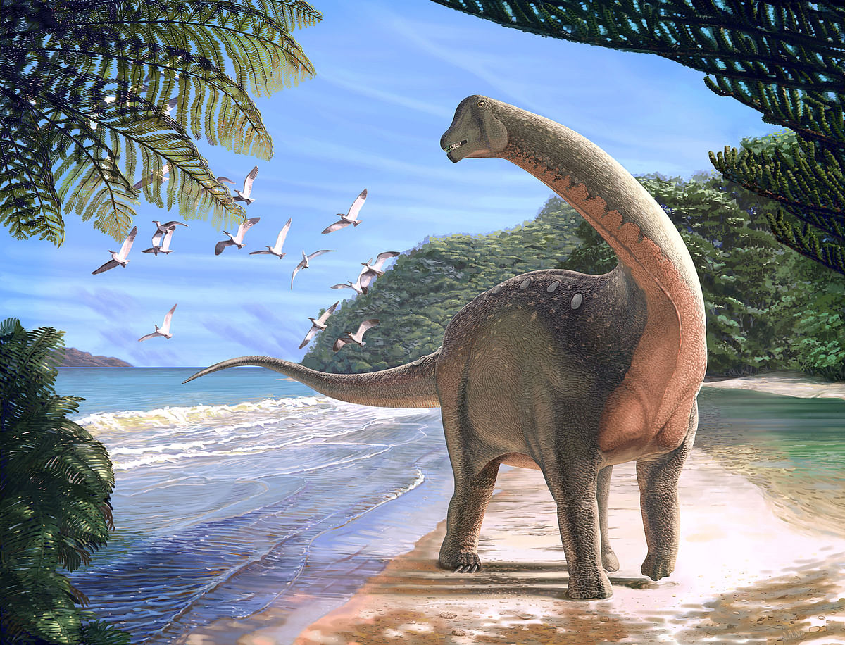 Artist`s life reconstruction of the titanosaurian dinosaur Mansourasaurus shahinae on a coastline in what is now the Western Desert of Egypt approximately 80 million years ago is pictured in this undated handout image obtained by Reuters on 29 January 2018.