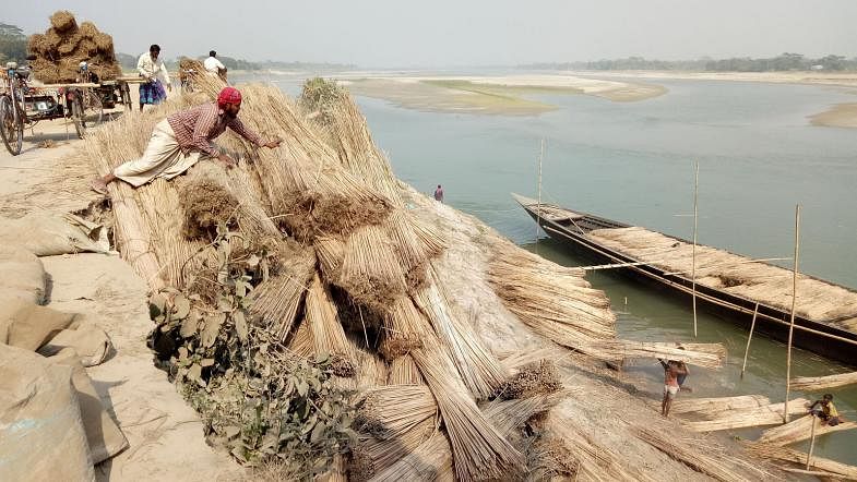 Jute sticks are carried on boats to factories in Dargah Bazar area of Bhanga upazila of Faridpur on 30 January. Photo: Alimuzzaman