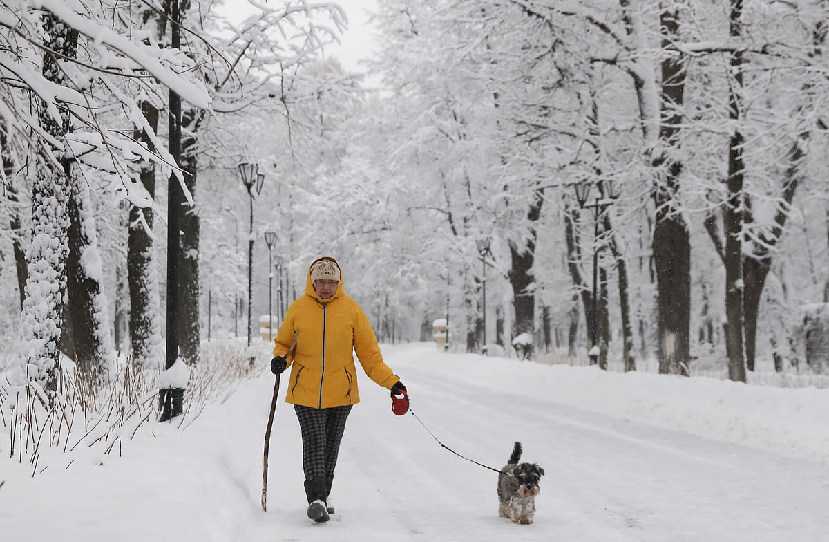 A woman walks with a dog in a park after a heavy snowfall in Moscow, Russia on 31 January. Photo: Reuters