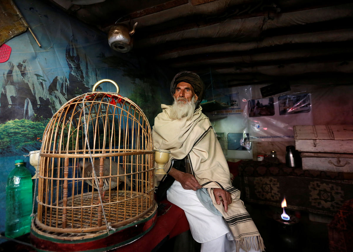 Mohammad Jan, 67, sits beside a cage of partridges in a shop at Ka Faroshi bird market in Kabul, Afghanistan, on 18 January. Photo: Reuters