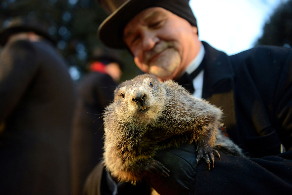 Co-handler John Griffiths holds Punxsutawney Phil for the crowd gathered at Gobbler`s Knob on the 132nd Groundhog Day in Punxsutawney, Pennsylvania, US on 2 February 2018. Photo: Reuters