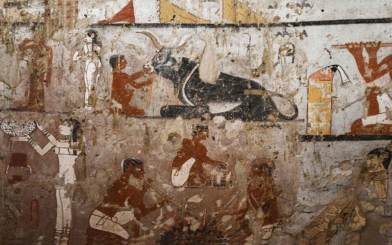 A general view shows well-preserved and rare wall paintings inside the tomb of an Old Kingdom priestess in Saqqara, on the Giza plateau on the southern outskirts of Cairo, that was unveiled on 3 February. Photo: AFP