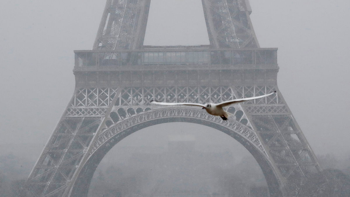 A seagull flies as snow falls near the Eiffel Tower in Paris, as winter weather with snow and freezing temperatures arrive in France on 6 February. Photo: Reuters
