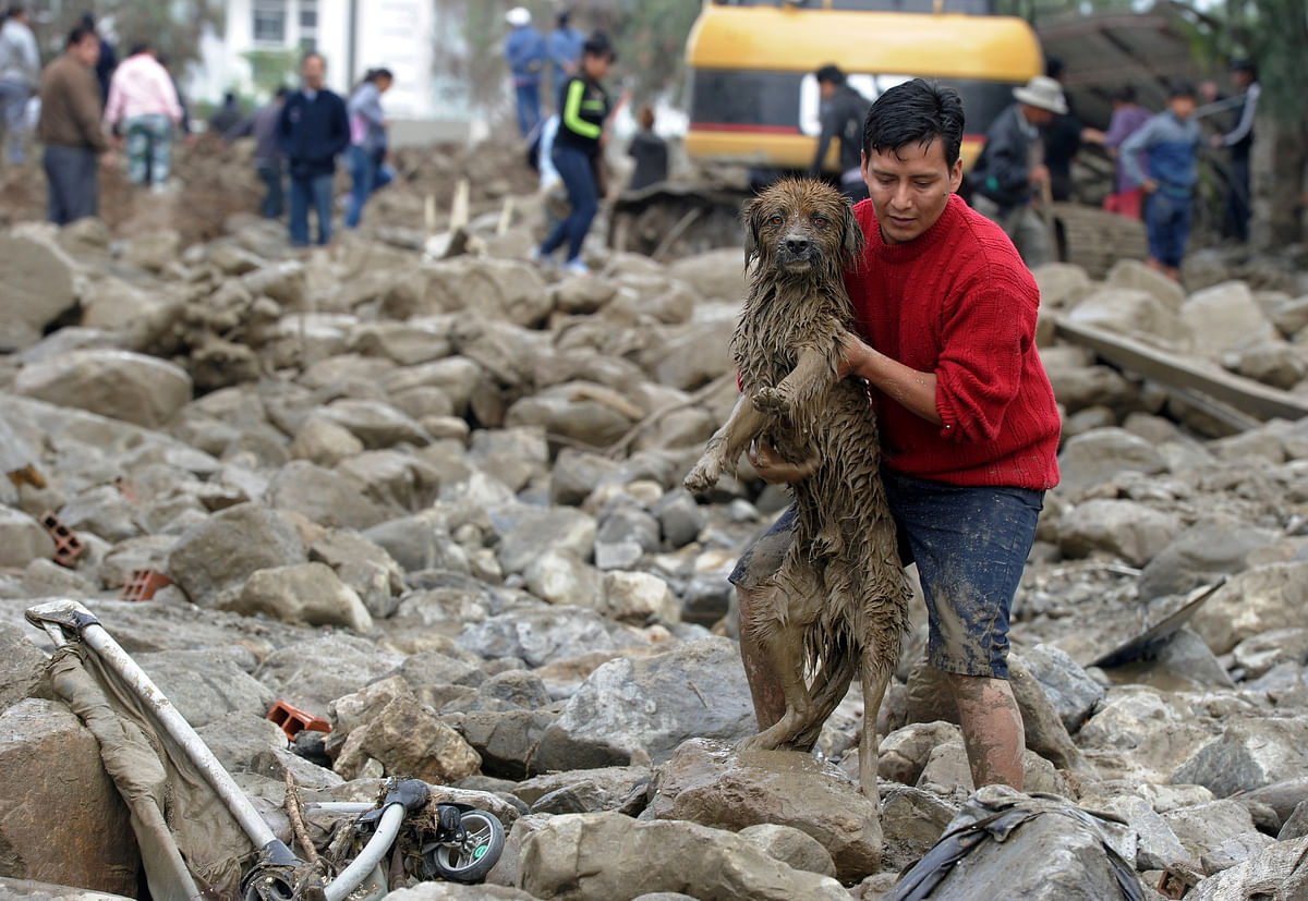 A man carries a dog from mud and stones after a river flooded Tiquipaya due to heavy rains, in Tiquipaya, Cochabamba, Bolivia on 7 February 2018. Photo: Reuters