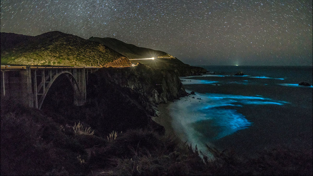 Bioluminescent phytoplankton is seen along the coastal waters at Big Sur, California, US on 5 February. Photo: Reuters
