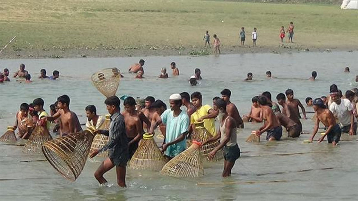 Locals are catching fish in a haor during the dry season. Prothom Alo file photo