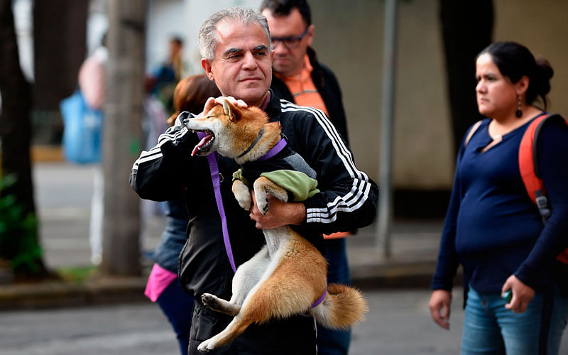 A man carrying his dog as he evacuates a building at Roma neighbourhood during a powerful earthquake in Mexico City on 16 February. Photo: AFP