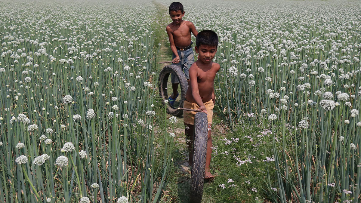 Two children play with old tyres in Gobindapur of Faridpur Sadar on 25 February. Photo: Alimuzzaman