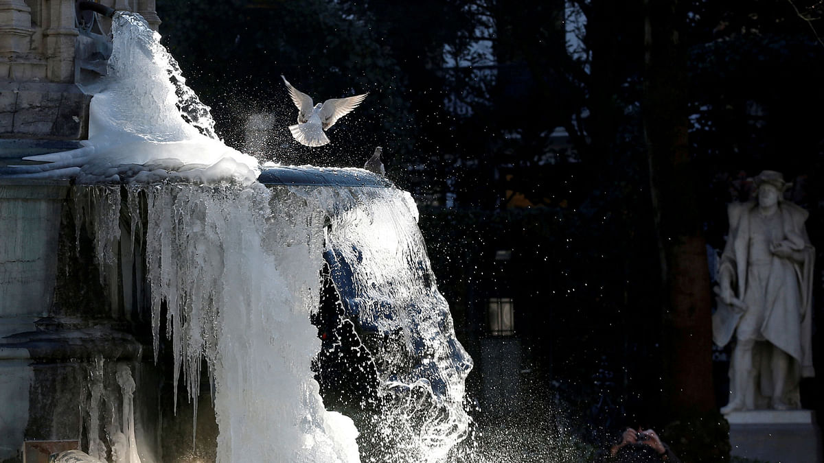 Pigeons are seen as ice partially covers the fountain of the Counts of Egmont and Hornes on a cold winter day in central Brussels, Belgium on 28 February 28. Photo: Reuters