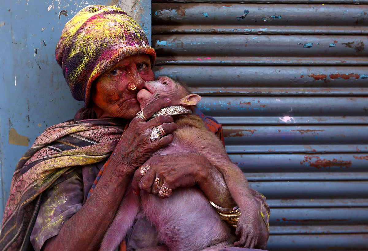 A woman daubed in colours kisses her monkey during Holi celebrations in Chennai, India on 2 March. Photo: Reuters