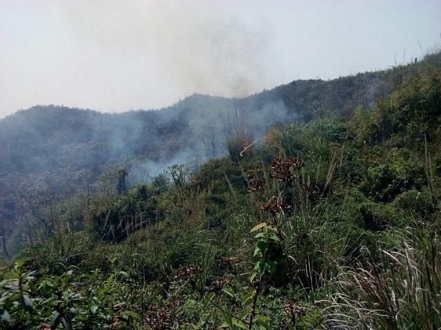 150 acres of Teknaf reserved forest burnt: Photo: Prothom Alo