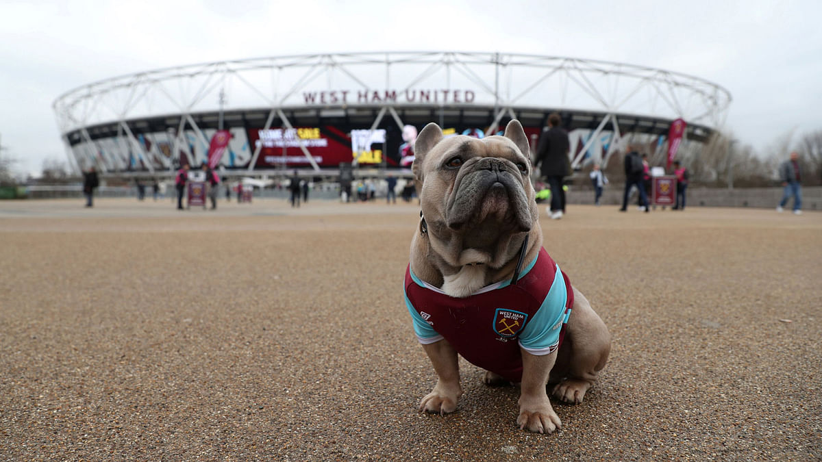 A Dog wears a West Ham shirt outside London stadium before the match betweenWest Ham United vs Burnley on 10 March. Photo: Reuters