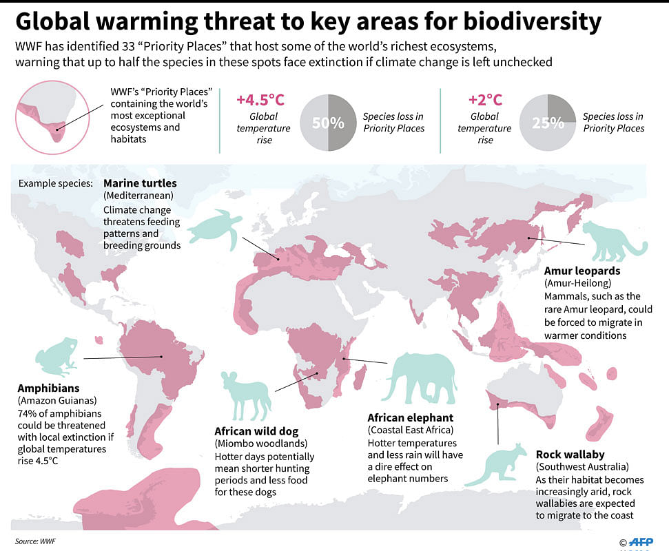 Graphic showing the WWF priority places of concern from global warming. Photo: AFP