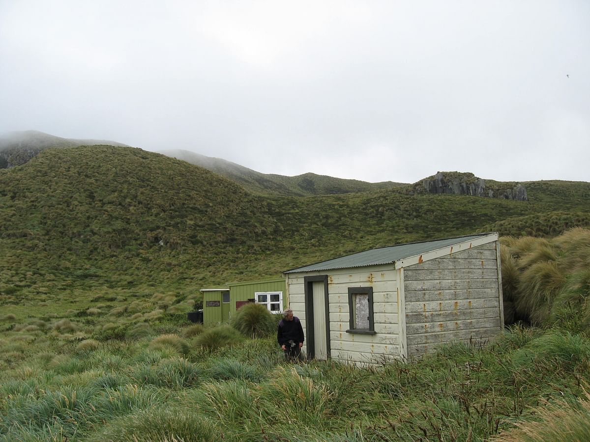 Antipodes Castaway Hut. Photo: Collected