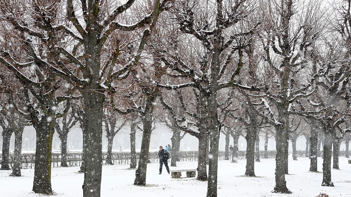 A man walks during snowfall in the grounds of the Charlottenburg Palace in Berlin, Germany on 20 March. Photo: Reuters