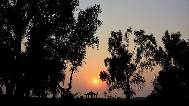 This photo, taken on 22 March, shows darkness coming down on Kalabogi station area of the Sundarbans, Khulna, as the sun sets. Photo: Saddam Hossain