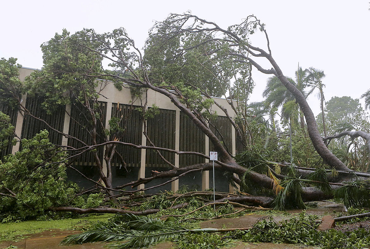 A tree that was uprooted due to winds from Tropical Cyclone Marcus lies on a building in the Northen Territory capital city of Darwin. Reuters