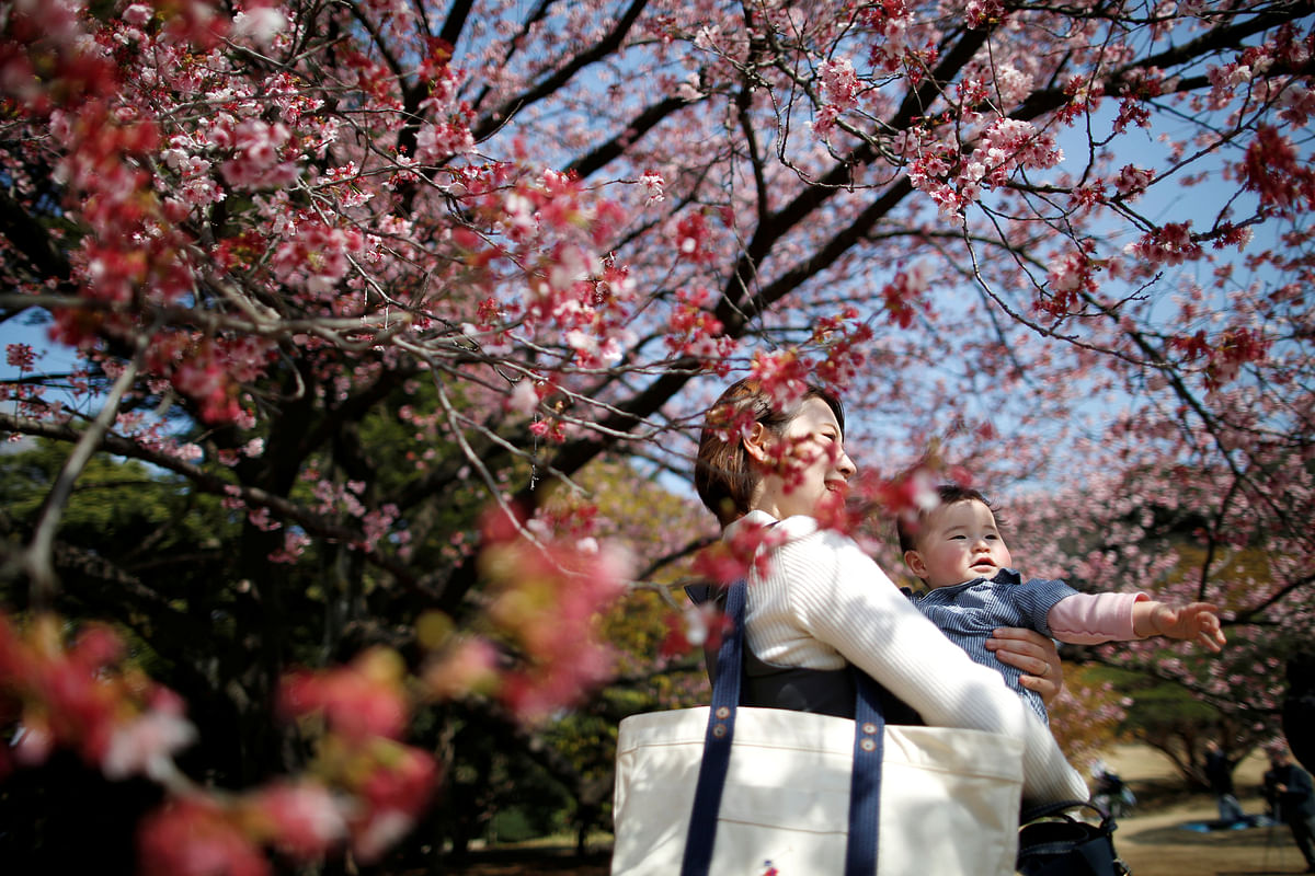 A seven-month-old baby and her mother look at early flowering Kanzakura cherry blossoms in full bloom at the Shinjuku Gyoen National Garden in Tokyo, Japan on 14 March. Reuters