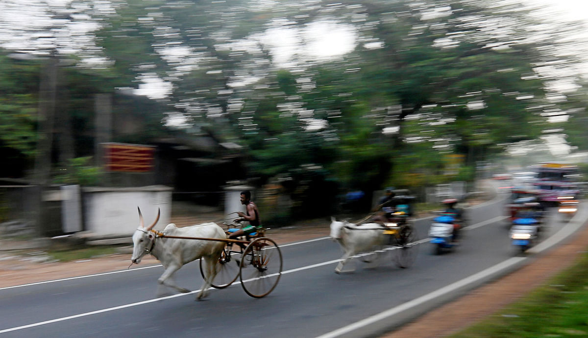 Competitors take part in a bullock cart race during traditional festival games ahead of celebrations for Sinhala, the Sinhalese and Tamil New Year, in Homagama, Sri Lanka on 1 April. Reuters