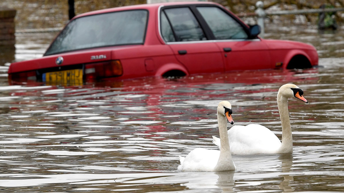 Swans swim past a car submerged under flood water on a residential street in Richmond, west London, Britain on 1 April. Photo: Reuters