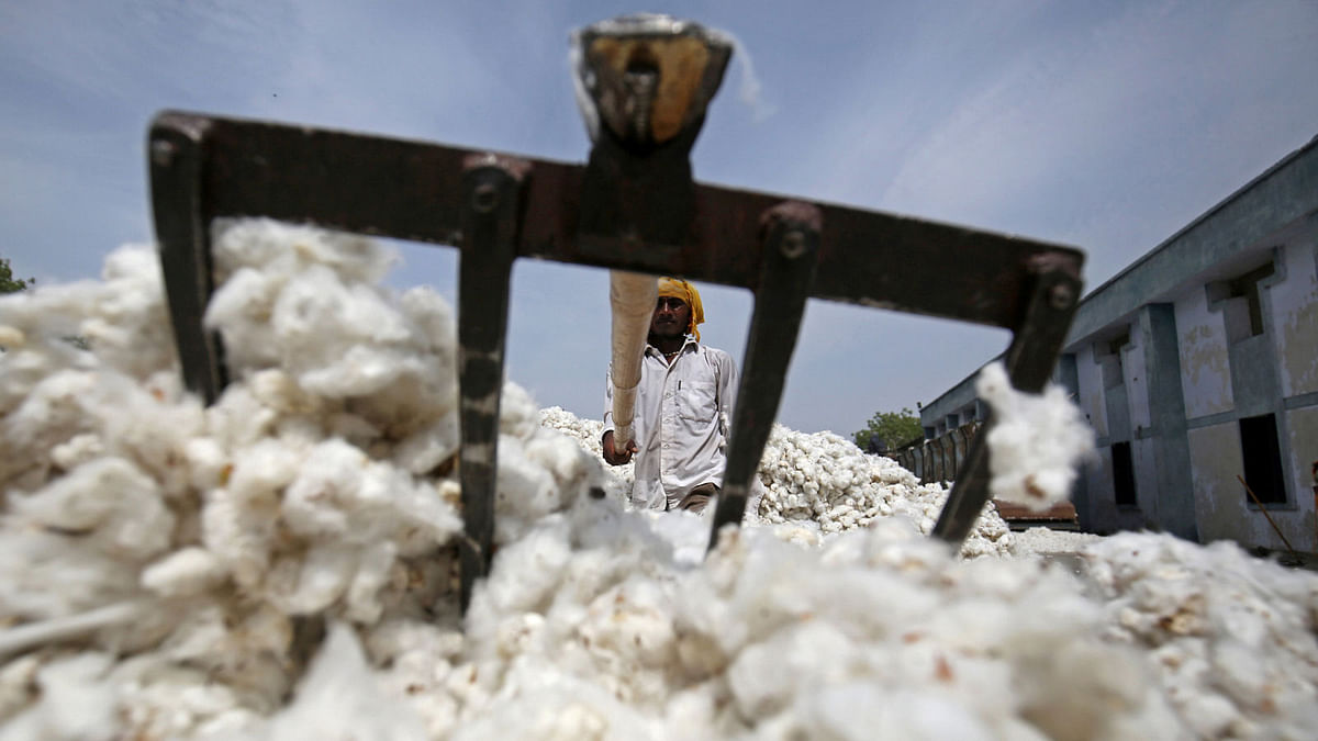 An employee works at a cotton processing unit in Kadi town, in the western Indian state of Gujarat, India on 5 April. Photo: Reuters