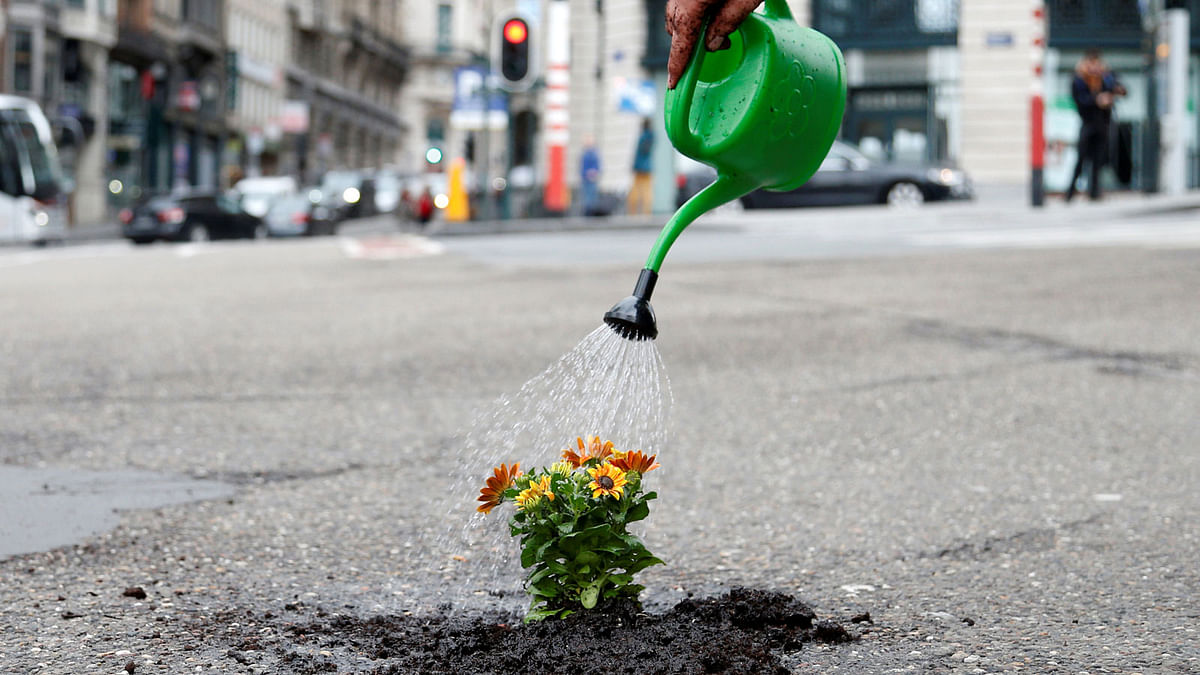 Brussels resident Anton Schuurmans waters flowers after planting them in an unrepaired pothole to draw attention to the bad state of public roads in Brussels, Belgium on 5 April. Photo: Reuters