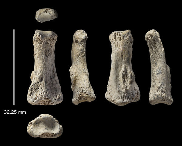 The single fossil finger bone of Homo sapiens - pictured from various angles - from the Al Wusta site, Saudi Arabia is pictured in this undated handout composite photo obtained by Reuters 9 April, 2018. Photo: Reuters
