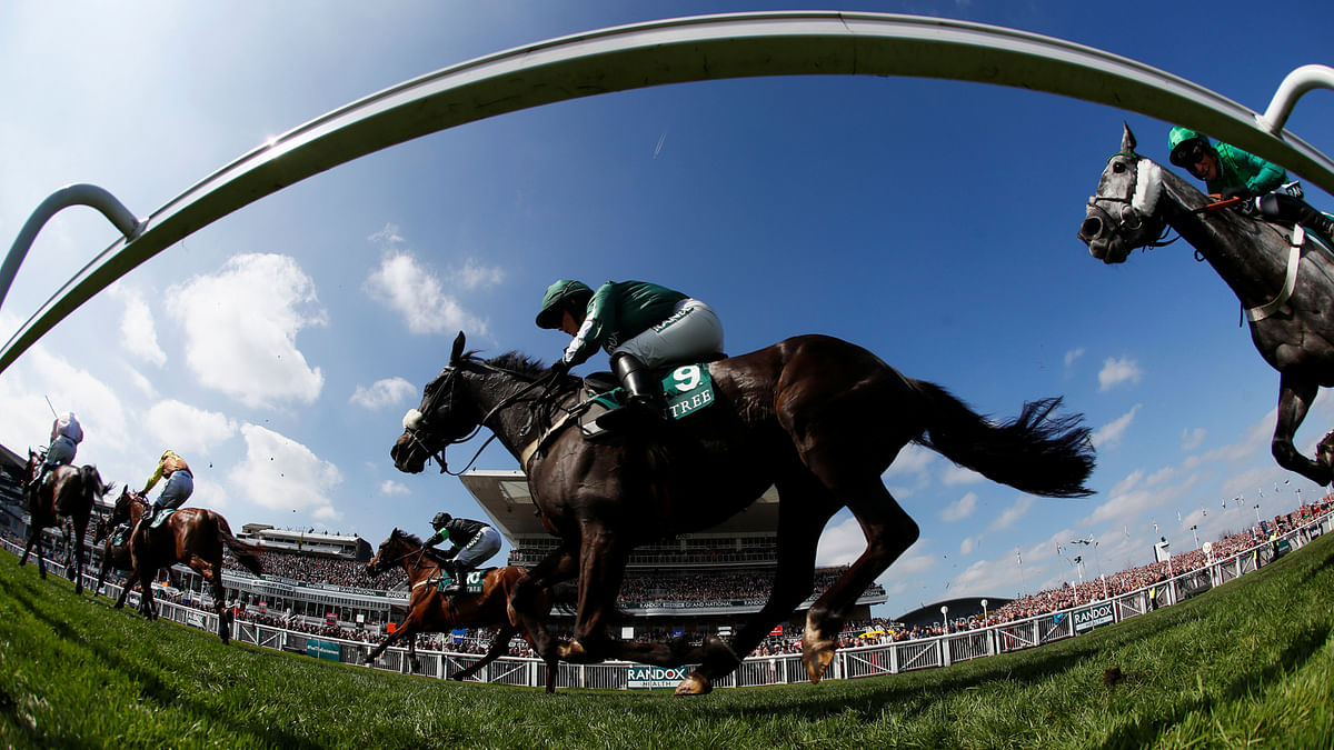 Prime Venture ridden by Isabel Williams in action during the 13:45 Gaskells Handicap Hurdle in Grand National Festival in Liverpool, Britain on 14 April.Photo: Reuters