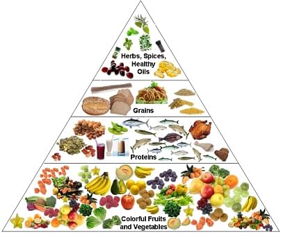 Nutrition pyramid. Photo: Collected