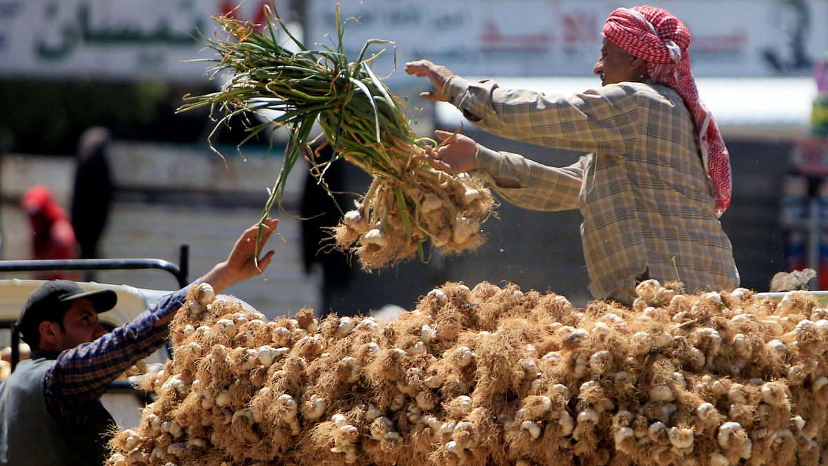 Sellers gather garlic in Damascus, Syria on 24 April. Photo: Reuters