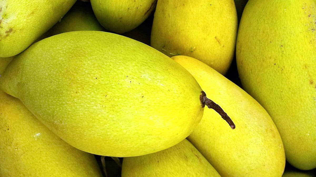 Mango is an energy food