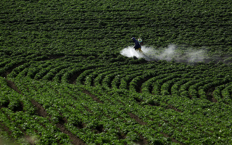A farmer sprays a mixture of fertilizer and pesticide at a potato plantation in Cartago, Costa Rica on 27 April. Photo: Reuters