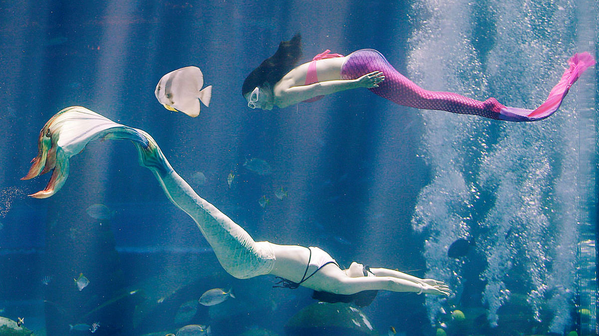 Performers dressed as mermaids dive into the 10-metre-deep Ambassador Lagoon inside Atlantis Sanya hotel in Sanya, Hainan province, China on 28 April. Photo: Reuters