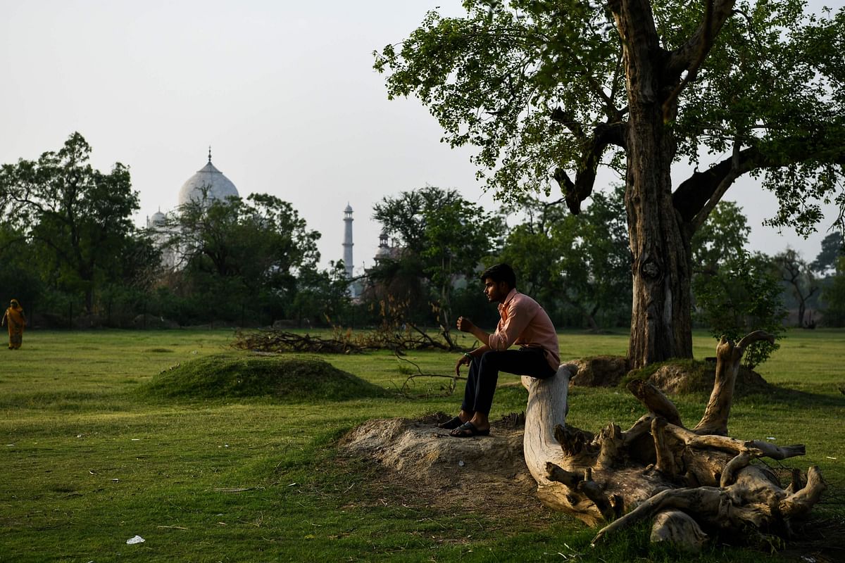 An Indian man sits on a broken tree in a garden opposite the Taj Mahal on the banks of the Yamuna river in Agra on 4 May 2018. AFP