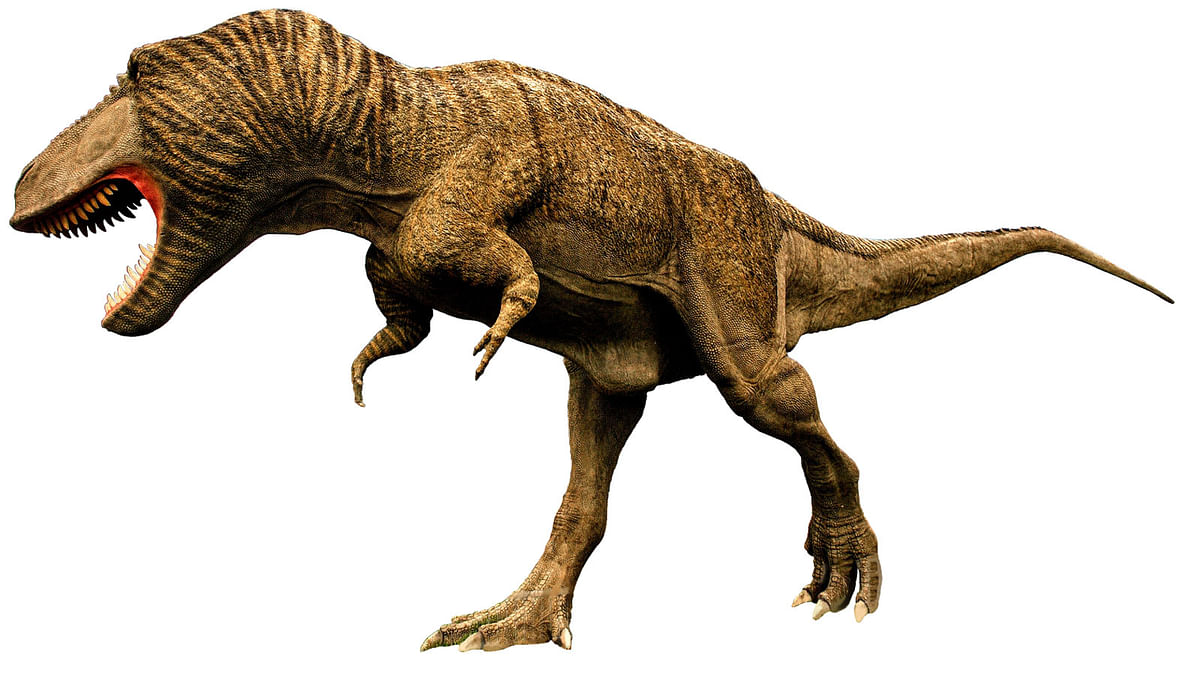 T-rex image. Photo: Collected