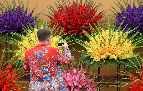 A man photographs a gladioli display at the RHS Chelsea Flower Show in London, Britain, 21 May 2018. Photo: Reuters