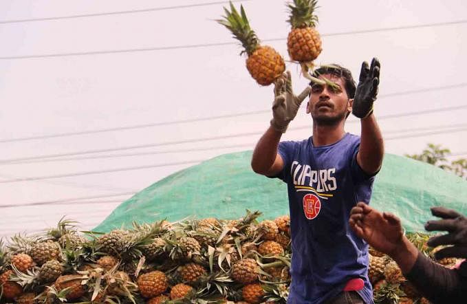 A trader sells pineapple in Kadamtali area of Sylhet on 22 May. Photo: Anis Mahmud