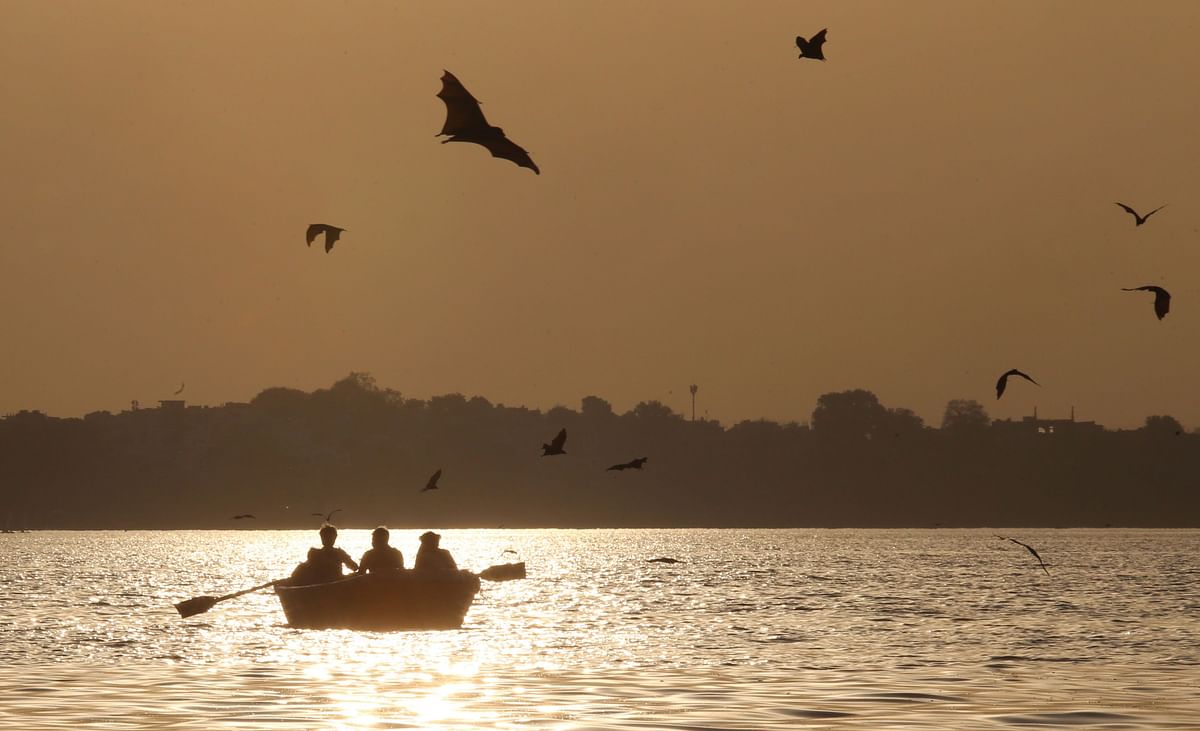 Visitors paddle a boat at Upper Lake as bats fly in Bhopal, in the Indian state of Madhya Pradesh on 26 May 2018. Photo: AFP