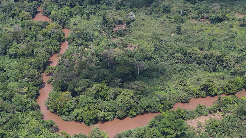 Faith leaders, Pygmies join forces fight for Congo rainforest. Photo: Collected