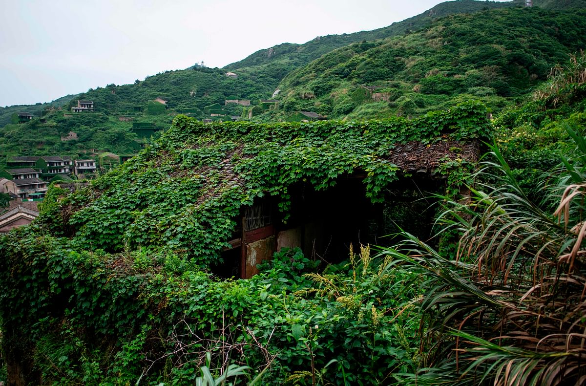 This picture taken on 31 May 2018 shows abandoned village houses covered with overgrown vegetation in Houtouwan on Shengshan island, China`s eastern Zhejiang province. Photo: AFP