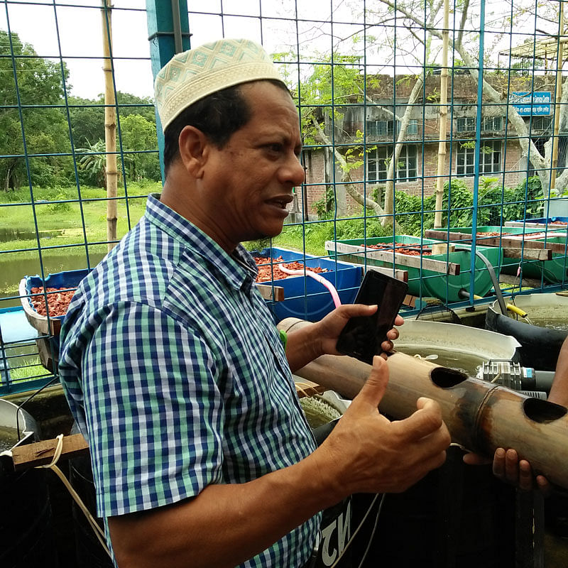 Abdus Salam showing a vertiponics plant. The photo was taken on 31 May from Bangladesh  Agriculture University in Mymensingh. Photo: Nusrat Nowrin