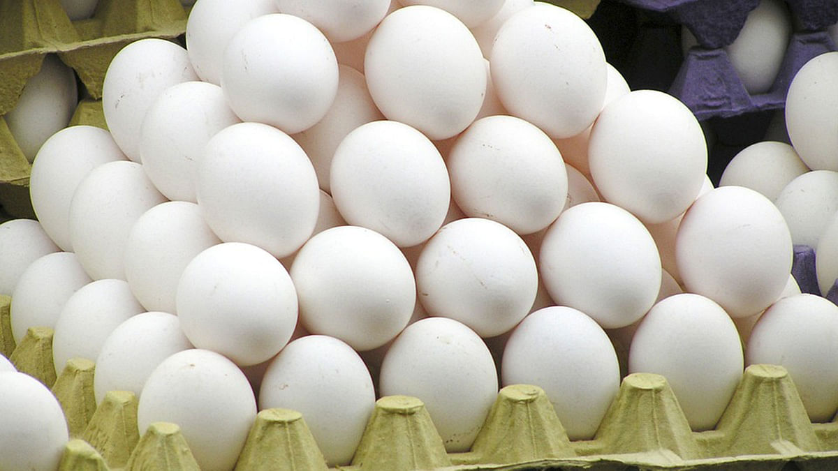 Getman authorities have recalled more than 73,000 Dutch eggs after finding them contaminated with the insecticide fipronil in six German states. Photo: Collected
