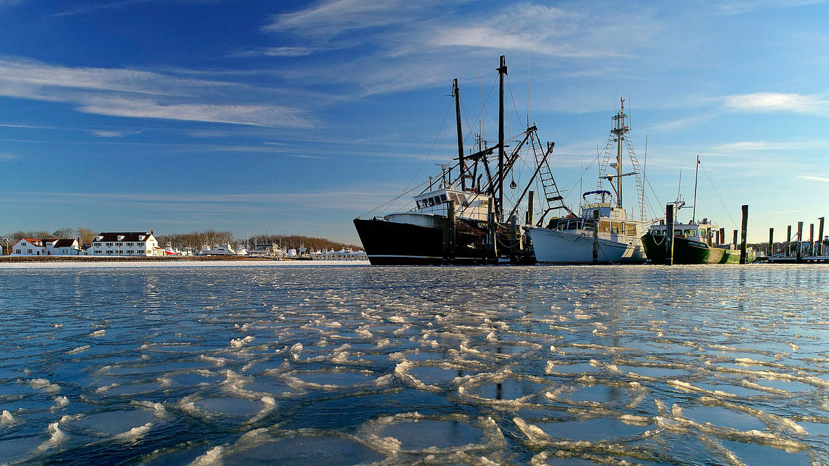 Surrounded by ice, commercial fishing boats are docked in their slips after more than a week`s worth of frigid weather froze the harbor in Lake Montauk in Montauk, NY, on Sunday, 7 January, 2018. Only a few commercial boats remain in Montauk harbor during the winter months fishing for species such as porgy, tilefish, monkfish and black sea bass. Photo : AP