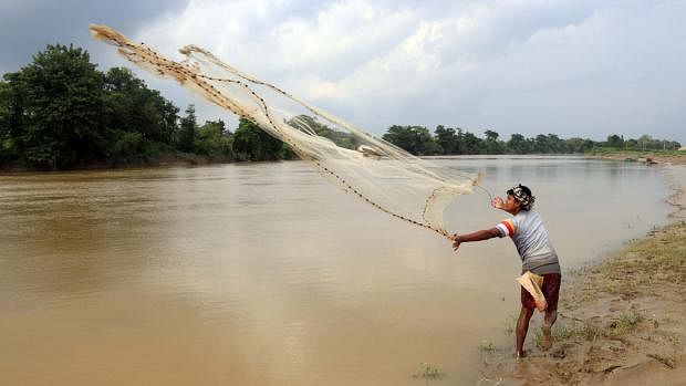 A fisherman catches fish using his fishing net at Gomati River, Cumilla on 21 June. Photo: Emdadul Haque