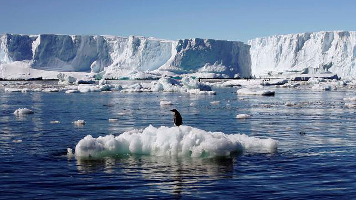 File photo of an Adelie penguin standing atop a block of melting ice near the French station at Dumont dÌUrville in East Antarctica. Photo: Reuters