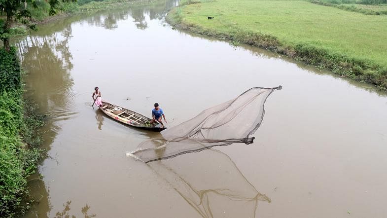 Casting a net to catch fish in Icchamati river in Nepatali union of Gabtali, Bogura district on 26 June. Photo: Soel Rana