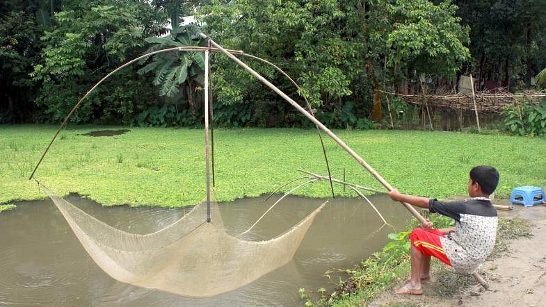 A child catches fish with a net in a pond in front of his house in Nandigram, Gauripur upazila in Mymensingh district on 26 June. Photo: Anwar Hossain