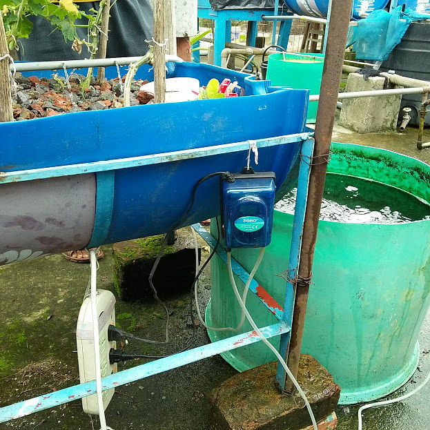 A pump set in the aquaponics plant. Power supply is crucial to run the process. If not available, hand siphoning from time to time is to be done. Photo: Nusrat Nowrin