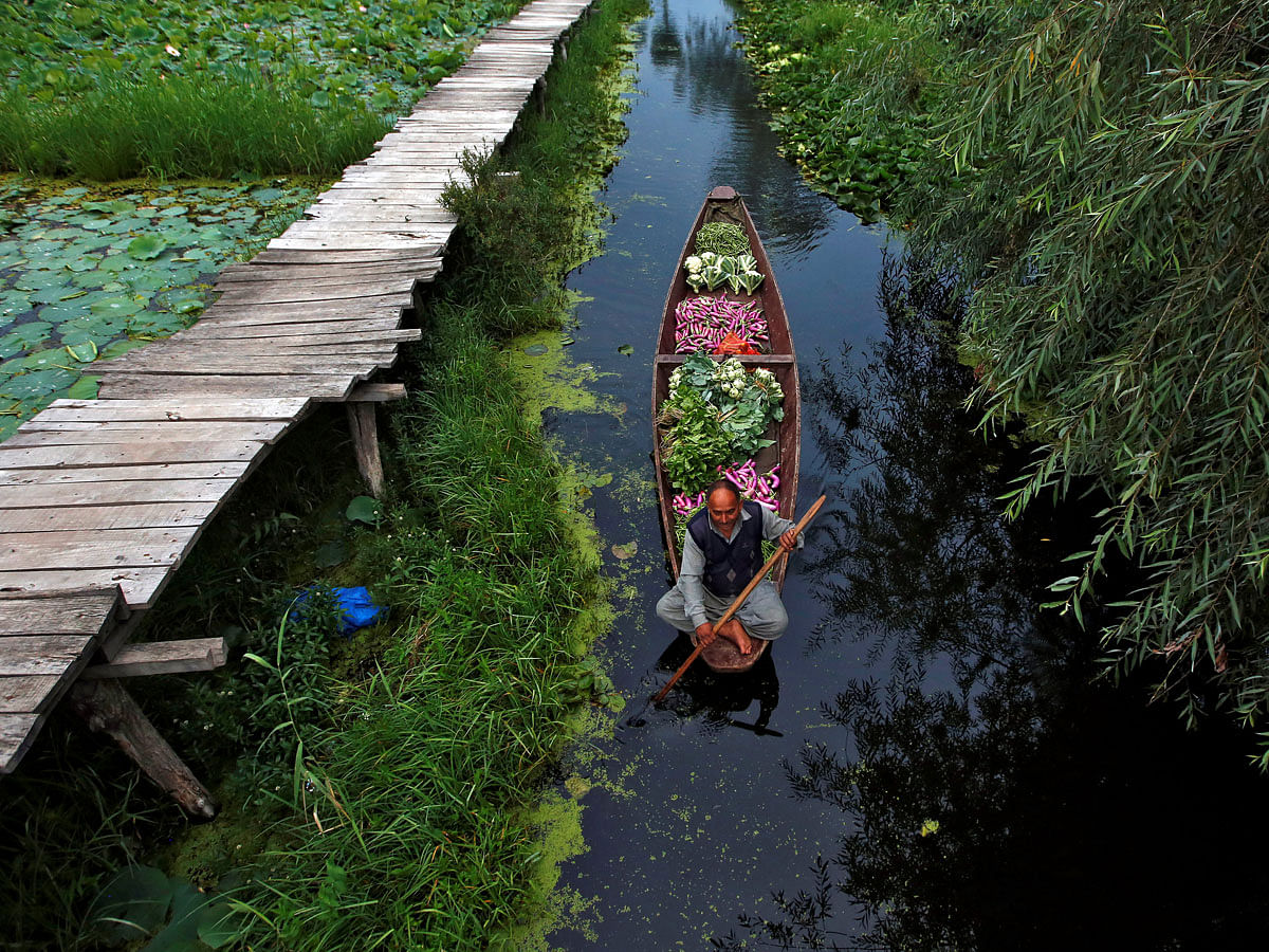 A vegetable vendor rows his boat towards a floating market on Dal lake in Srinagar on 2 July. Photo: Reuters