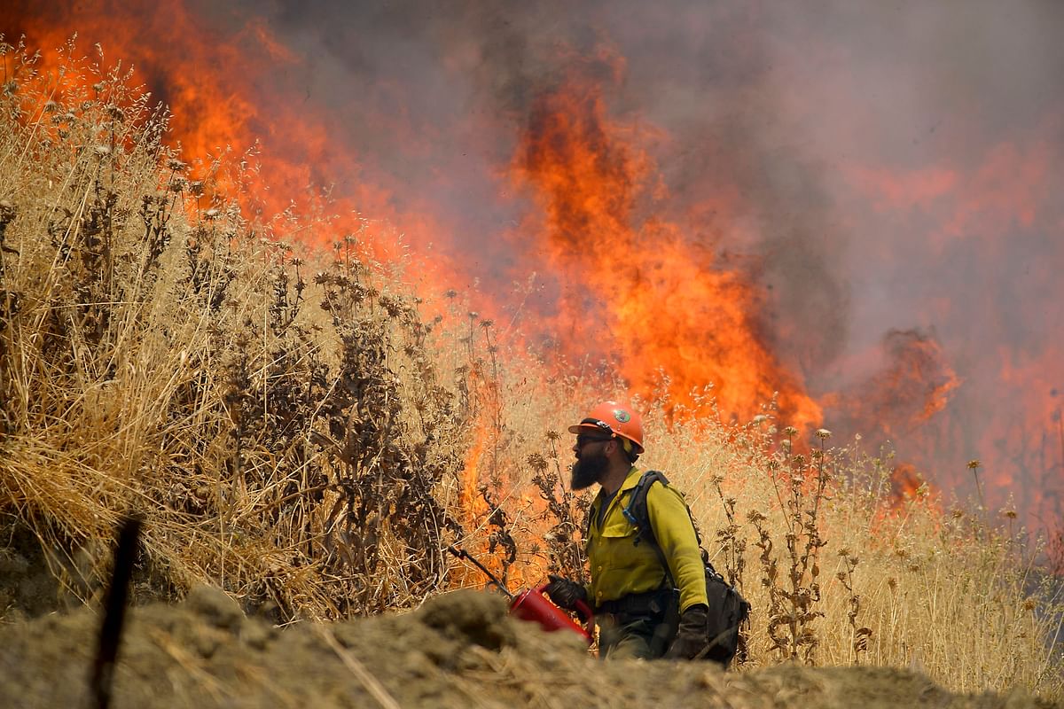 Hot Shot crews from Mendocino use backfires to help contain the County Fire along Highway 129 near Lake Berryessa in Yolo County, Calif, on 3 July. Photo: AP